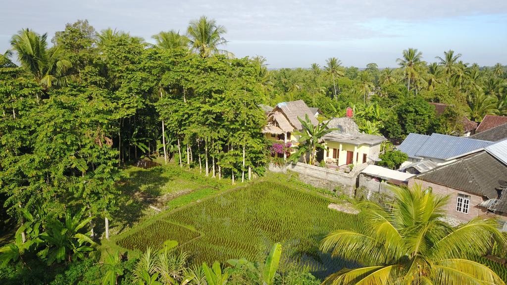 Kembang Kuning Cottages Tetebatu Extérieur photo