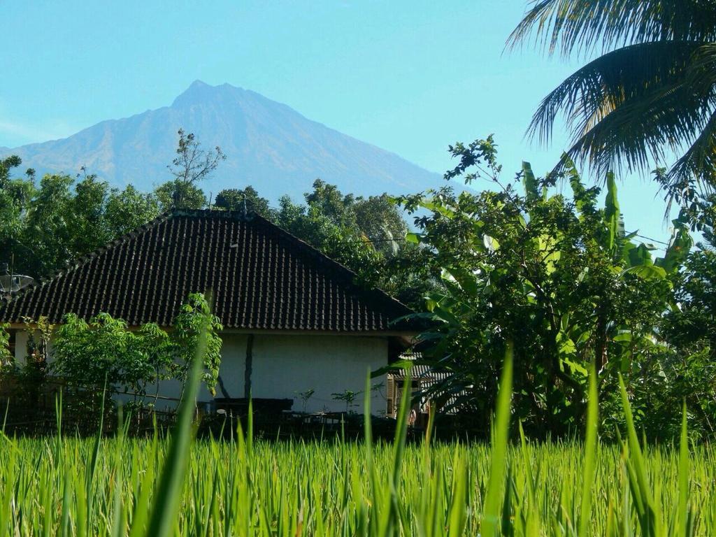 Kembang Kuning Cottages Tetebatu Extérieur photo